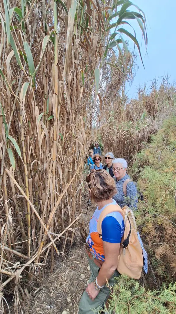 Retraite rando-yoga à ericeira Portugal