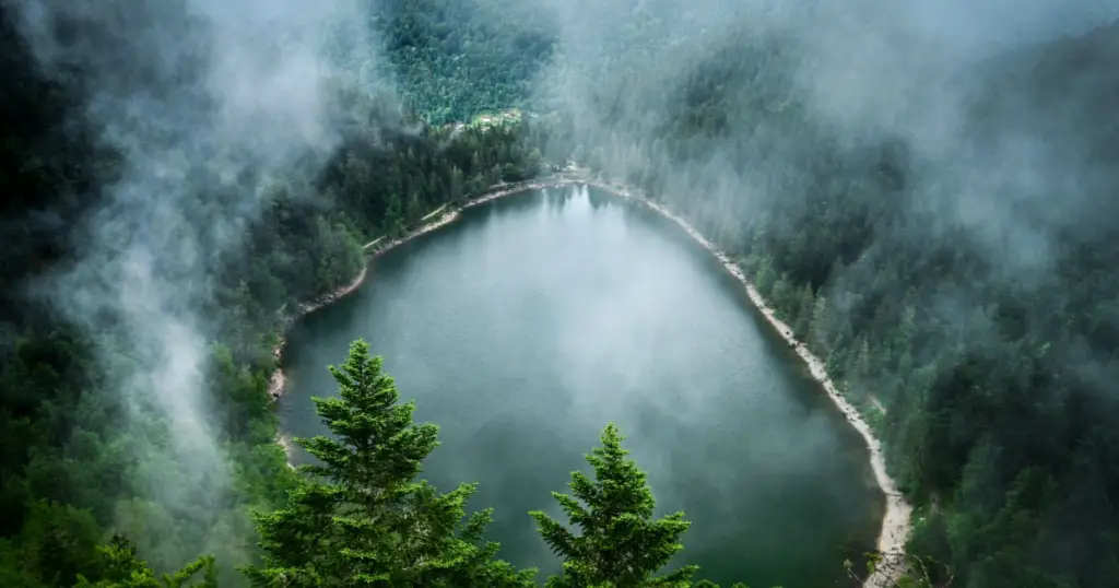 L'eau du massif des vosges sous toutes ses formes