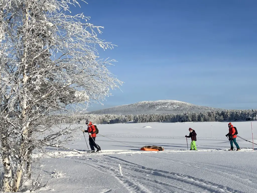 balade en ski nordique en laponie