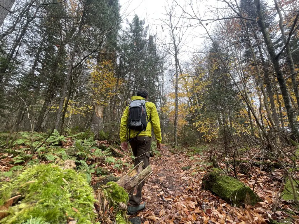 randonnée dans les forêts automnales du Québec