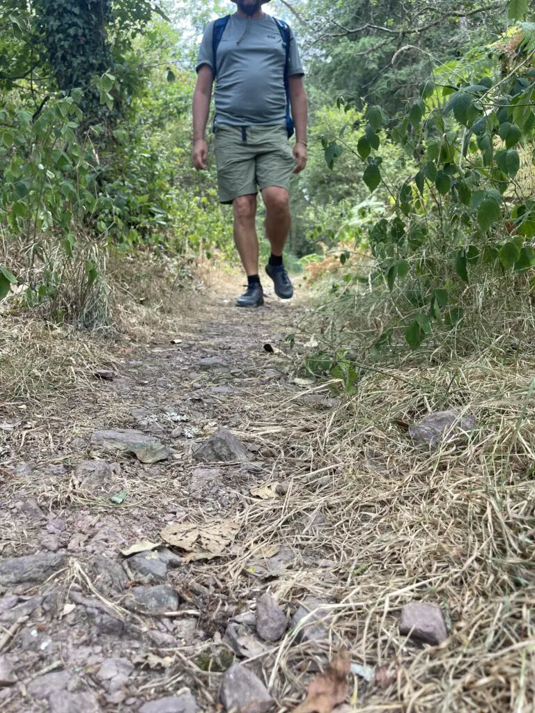 randonnée sur les sentiers de la fôret de Brocéliande