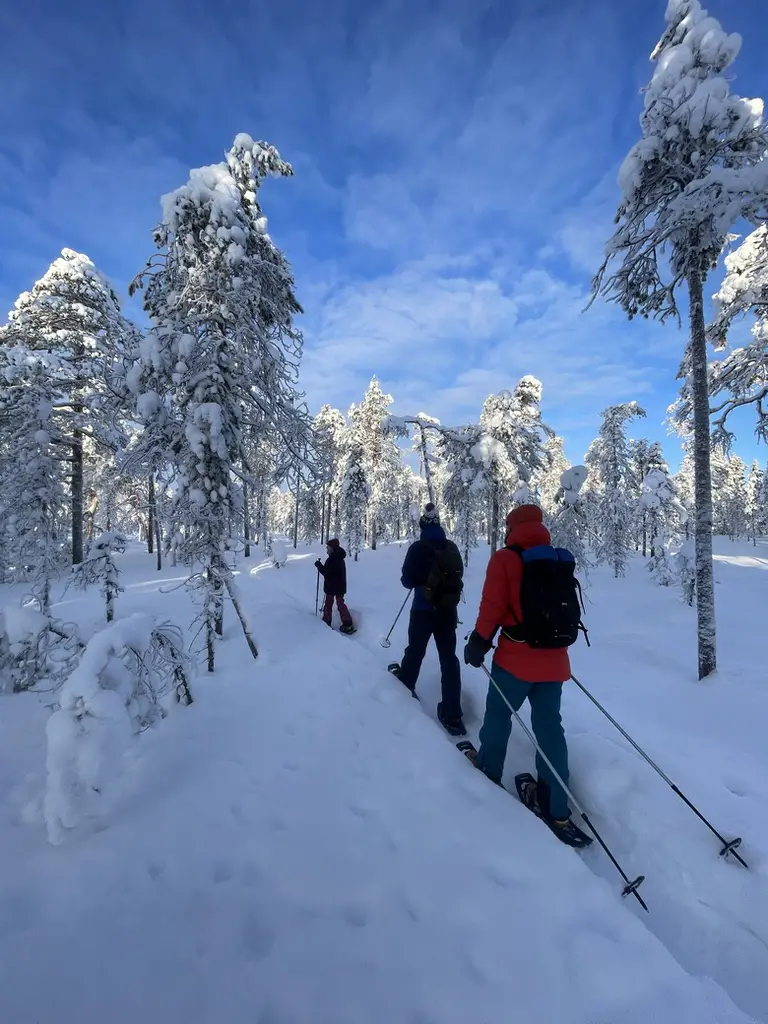 Balade raquette à neige en laponie avec Robert Bour guide nature
