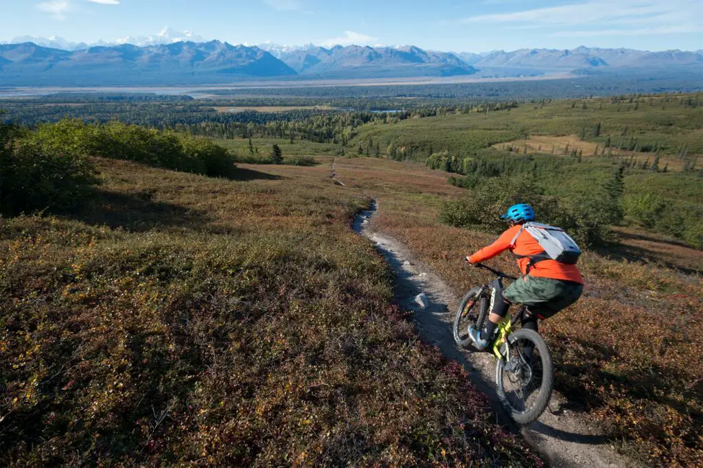 Adidas Terrex l’ADN outdoor d’Adidas