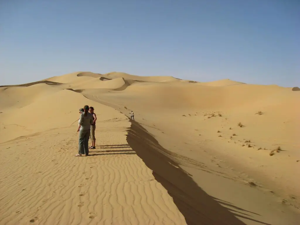 Faune et traces du désert aventure Sahara algérien