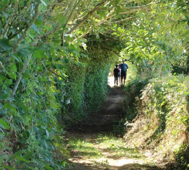 GR DE PAYS SEVRE ET MAINE - BOUCLE DES PUYS