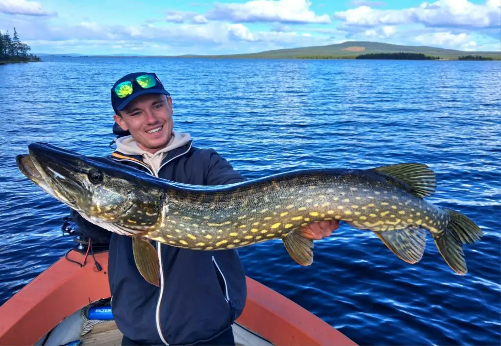 Voyage pêche au carnassier en suède