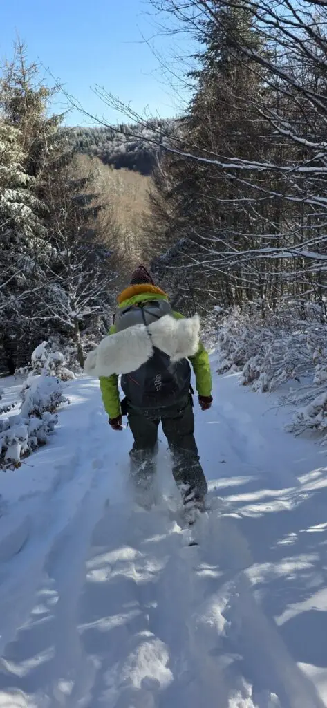 Rando en raquette à neige au Mont-Aigoual