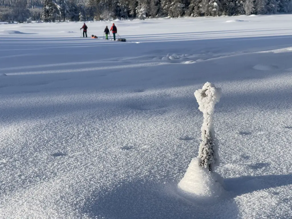 randonnée ski nordique en laponie suédoise avec pulka