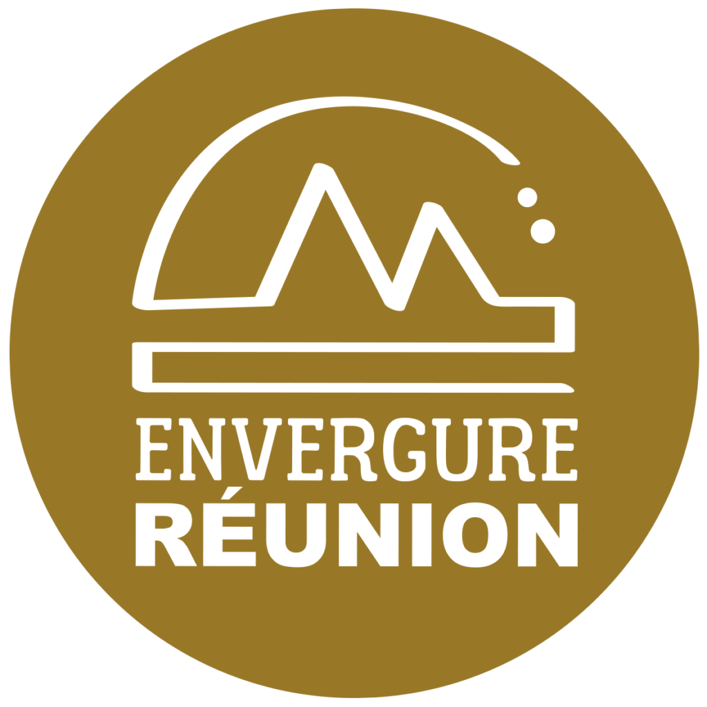 Canyoning et tunnel de lave à la Réunion avec Envergure Reunion