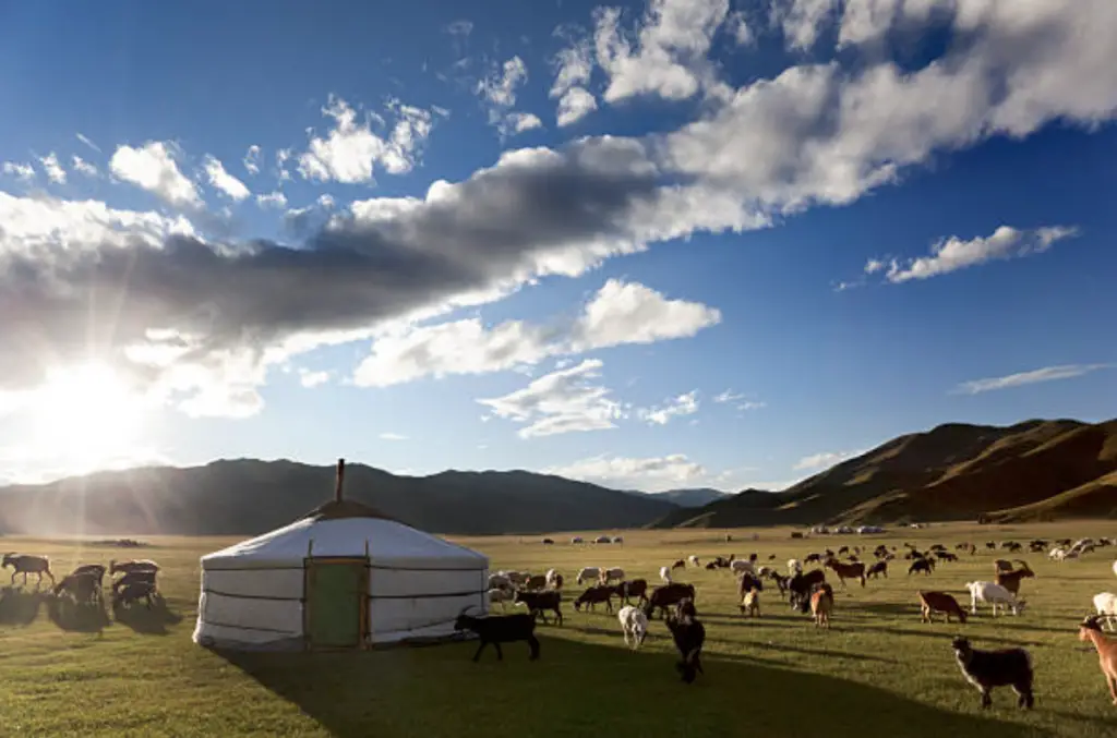 Des voyages à cheval dans des destinations mythiques comme la Mongolie avec contrées oubliées