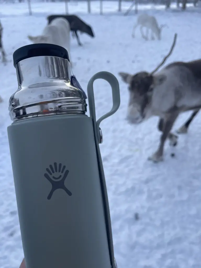 Hot Flask & Cup Hydro Flask une gourde isotherme testée en laponie suédoise