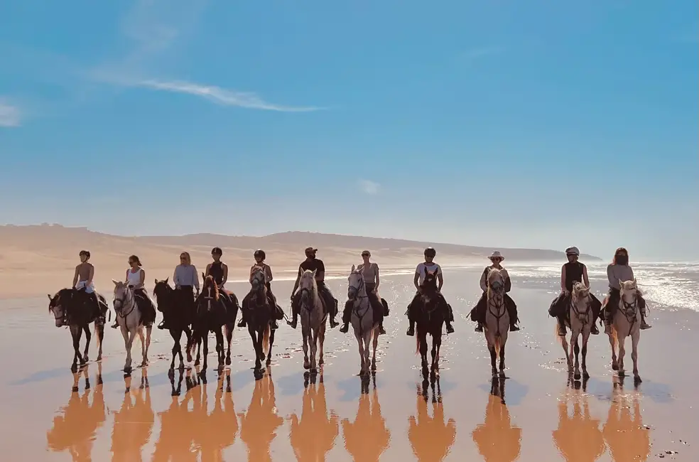 Randonnée à cheval sur la côté Atlantique au Maroc - Essaouira