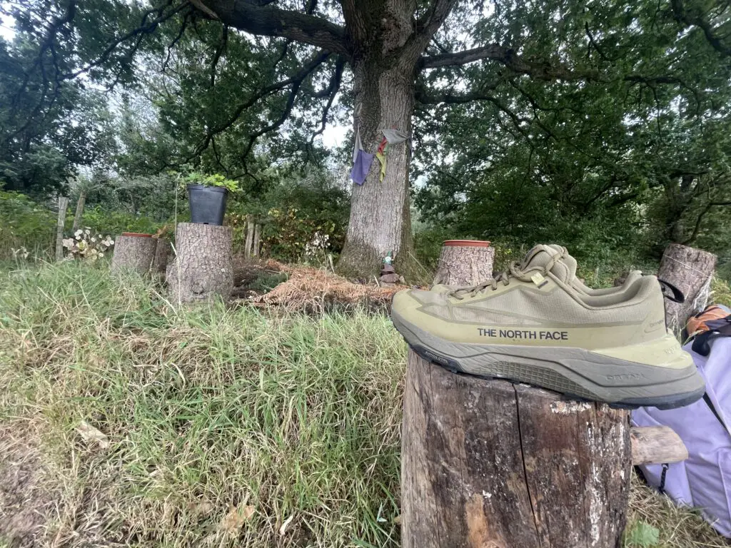 Analyse des performances techniques sur le terrain des chaussures homme de rando the north face