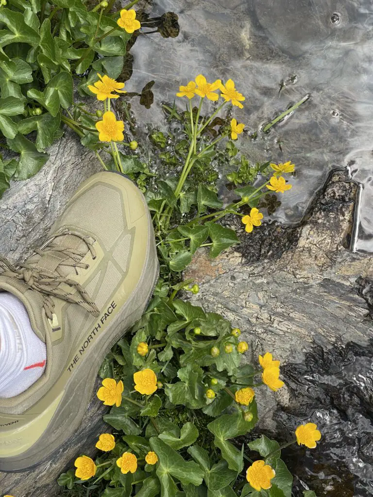 avis sur chaussure montagne the north face