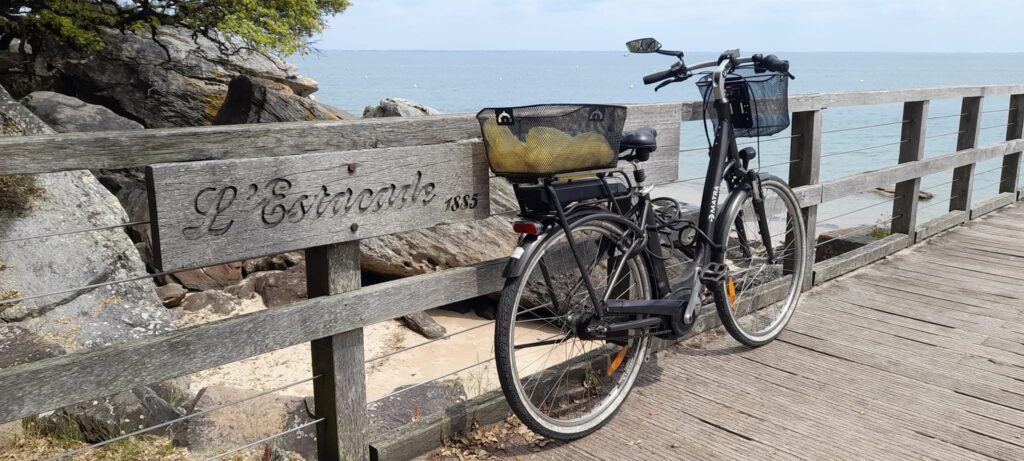 Noirmoutier retraite yoga, vélo et océan