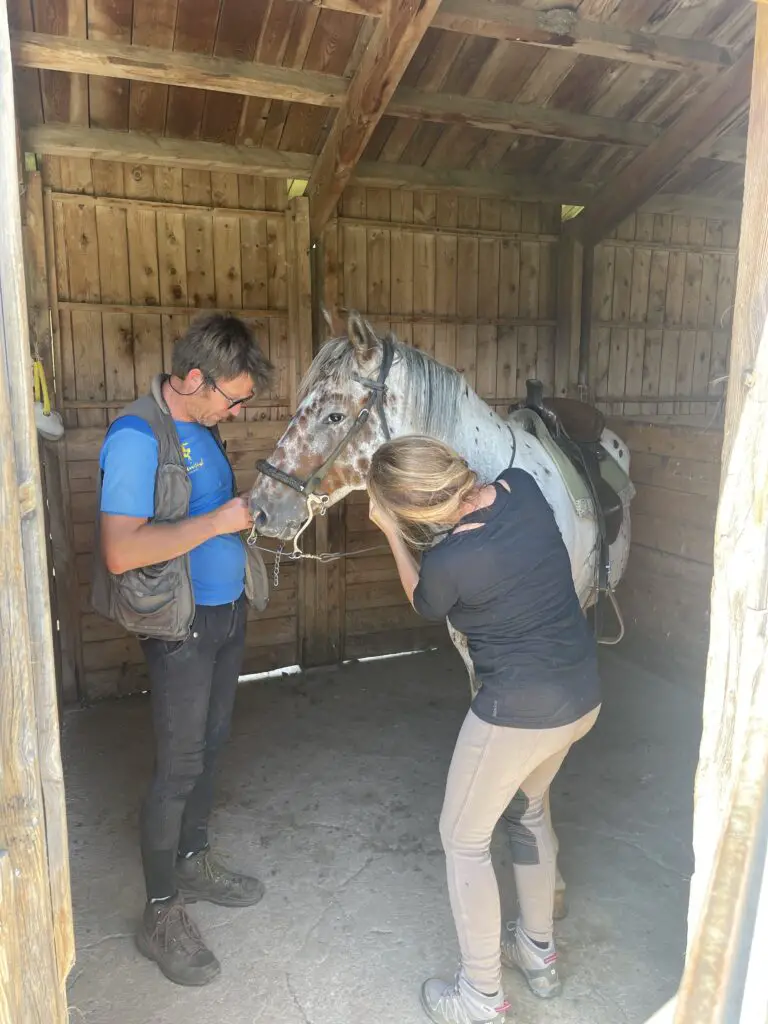 Avant de partir en rando équestre dans les montagnes de pyrénées créer la relation avec son cheval