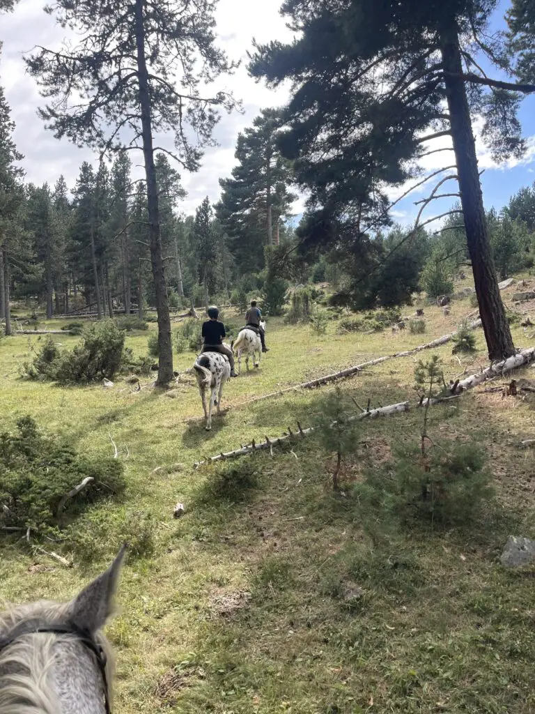 balade à cheval dans les montagnes des pyrénées orientales