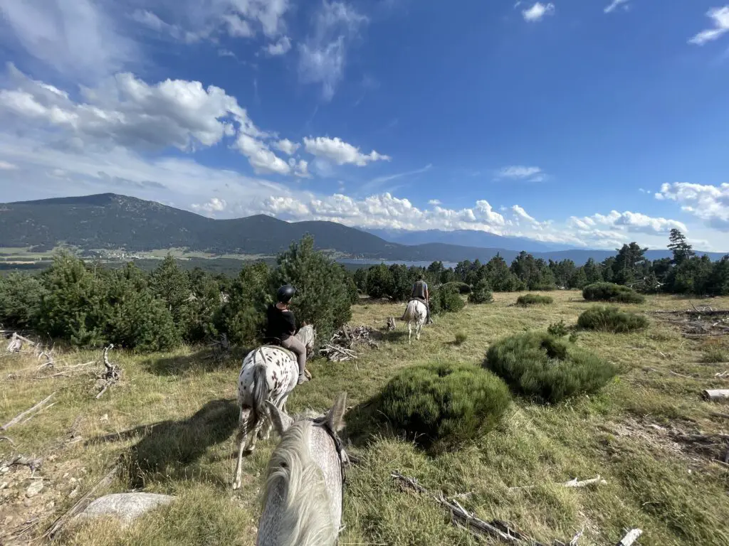 Des sentiers forestiers aux chemins de montagne lors de notre randonnée à cheval dans le capcir dans les PO