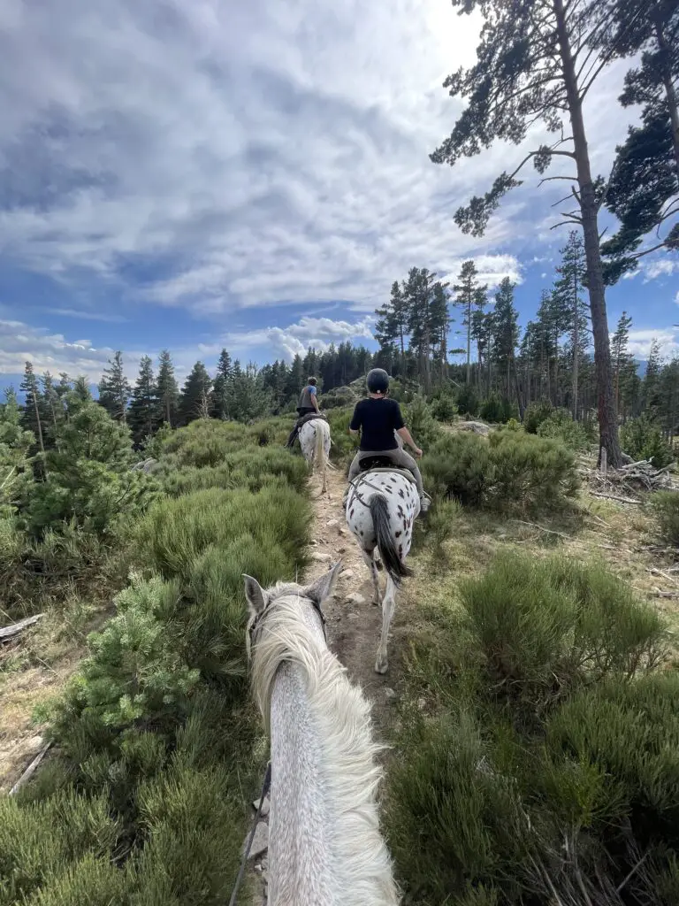 rando équestre en capcir avec équisud des angles