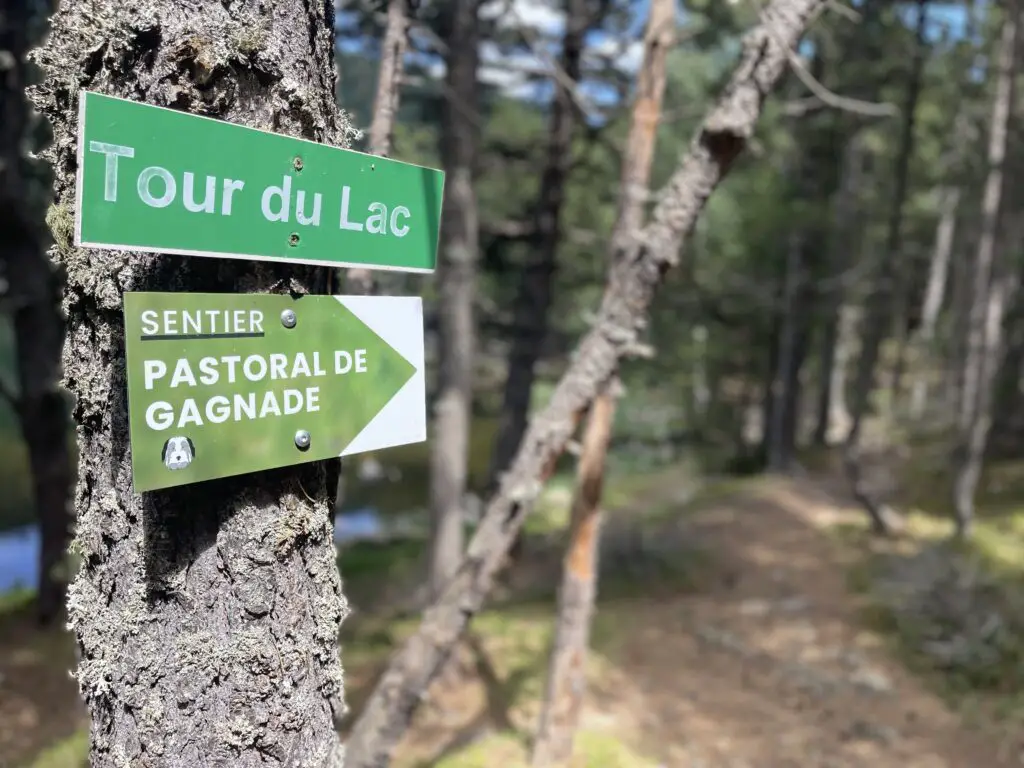 Tour du lac de balcère et sentier pastorale de gagnade au dessus des angles dans les pyrénées