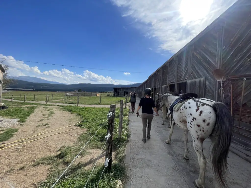 Une randonnée qui se termine comme elle a commencé auprès des chevaux du centre équestre d'équisud aux angles