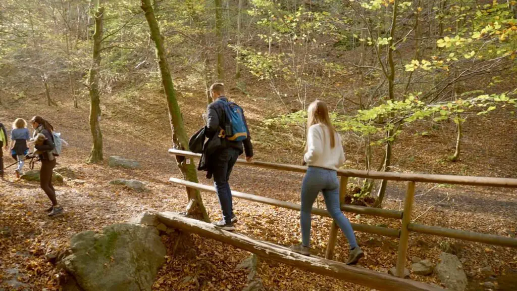 Randonnée pédestre et balades nature en belgique