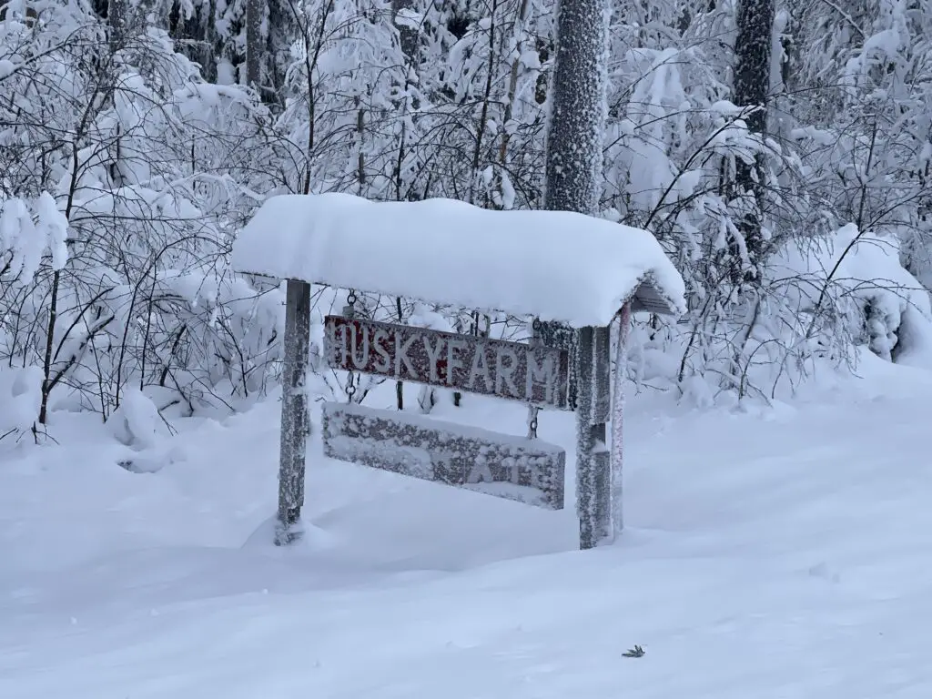 HuskyFarm en laponie suédoise