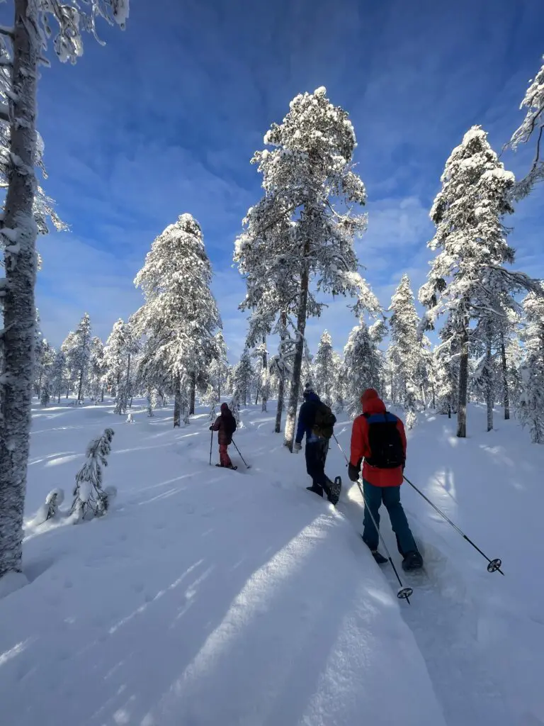 marche dans la neige en raquette en laponie suédoise