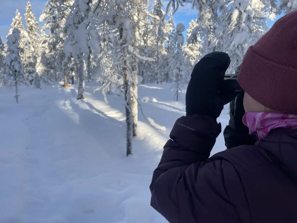 Observation à la jumelle de la faune sur le sentier animalier à Mellanstrom en laponie suédoise