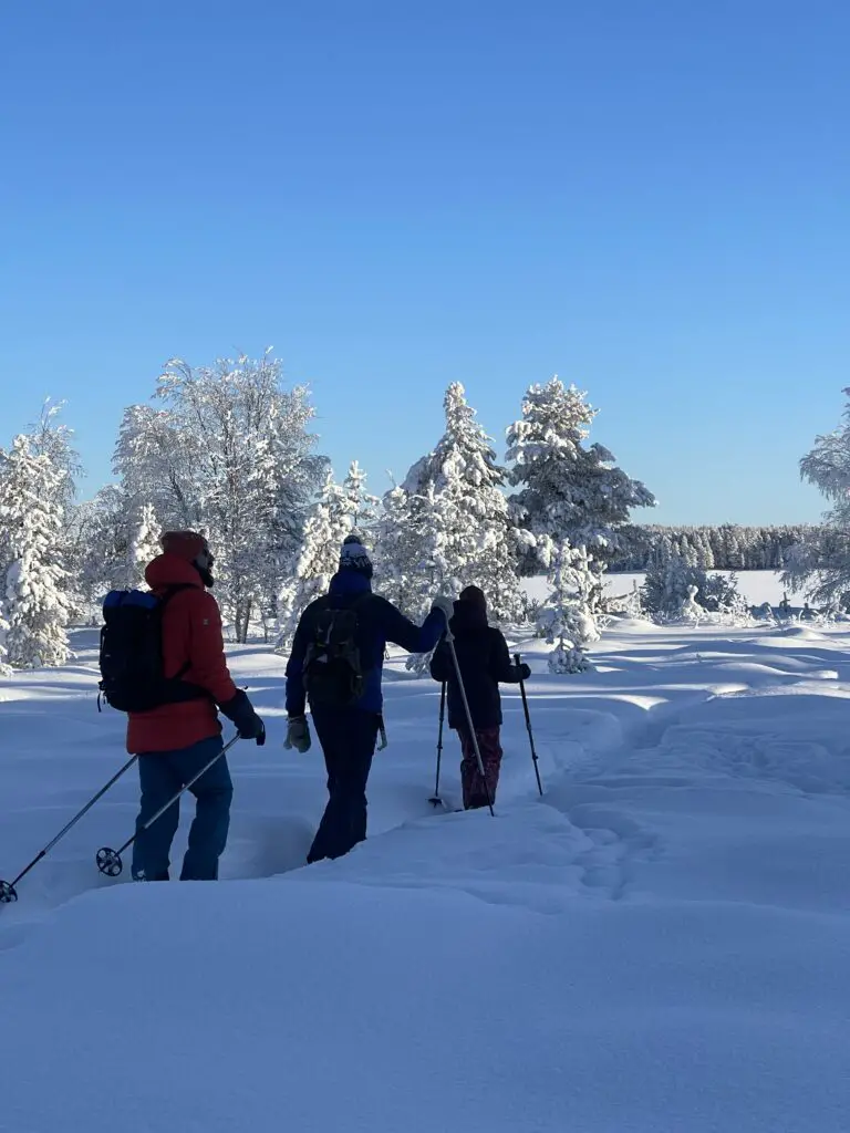 rando raquette an laponie suédoise