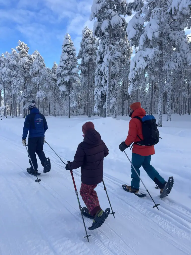 Randonnée en raquette à neige sur le sentier animalier à Mellanstrom en laponie suédoise