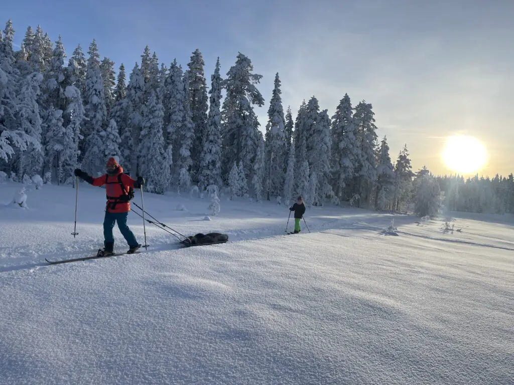 retour en ski nordique vers mellanstrom en laponie suédoise avec Robert bour