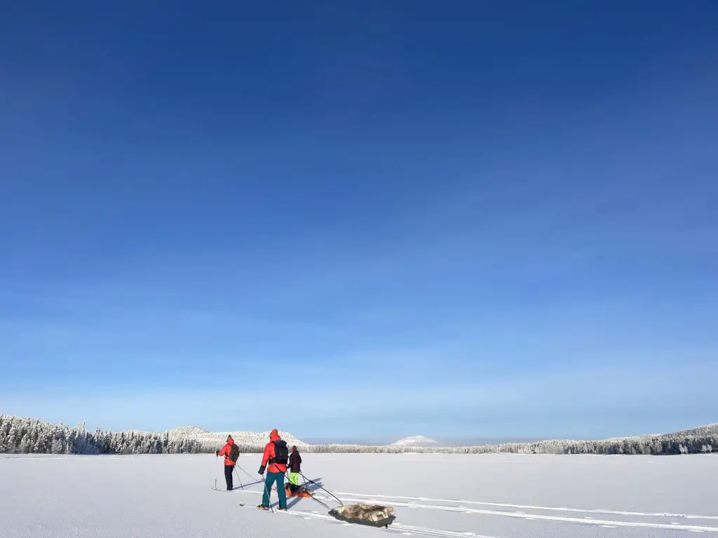 ski nordique dans le cercle polaire en laponie