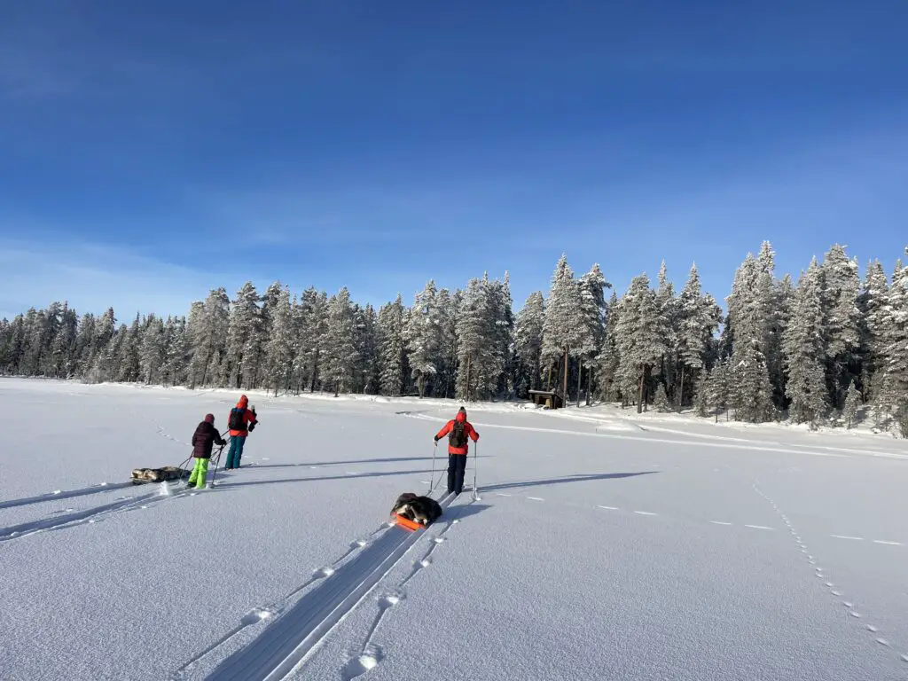 ski nordique et pique-nique au coeur de la nature sami en laponie