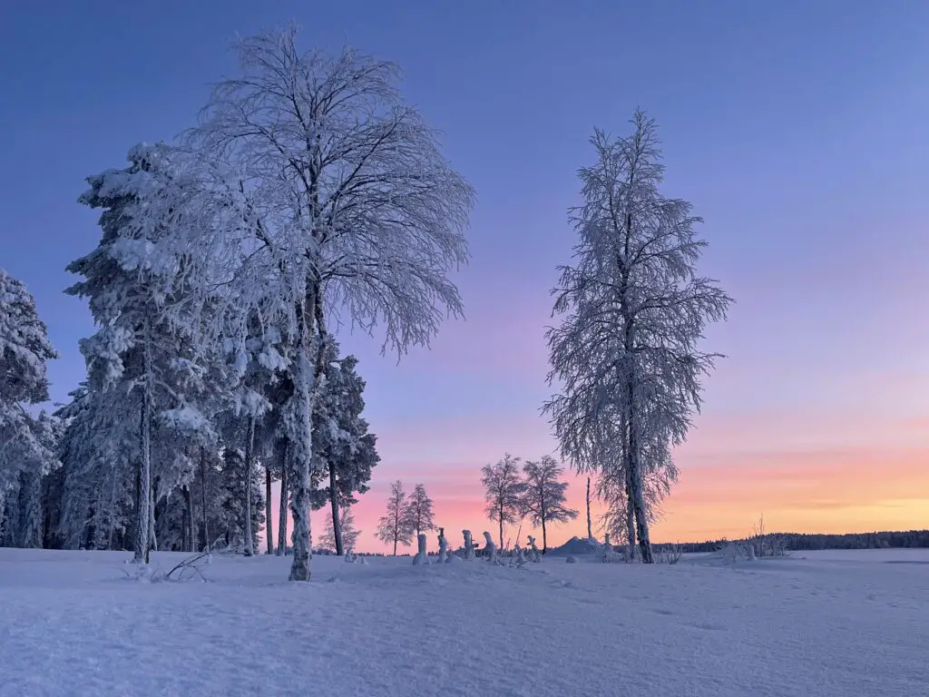 Une merveilleuse fin de journée en laponie avec un ciel pastel