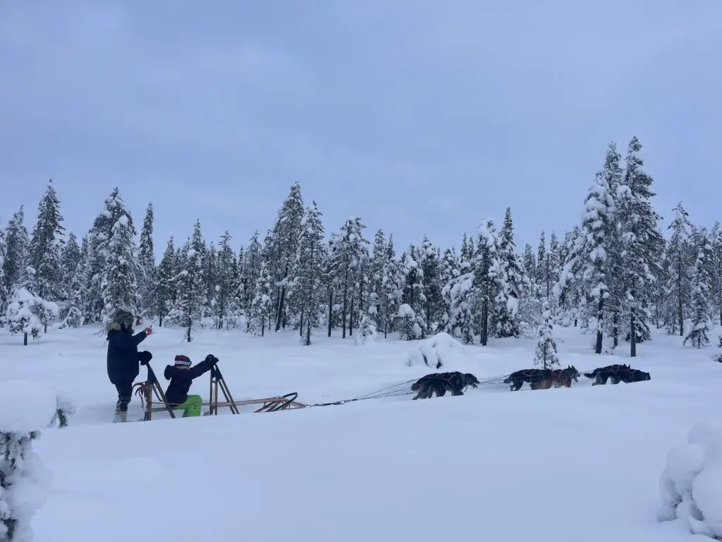 Victoire devenue Musher pour diriger son traineau tiré par une meute de chien en laponie
