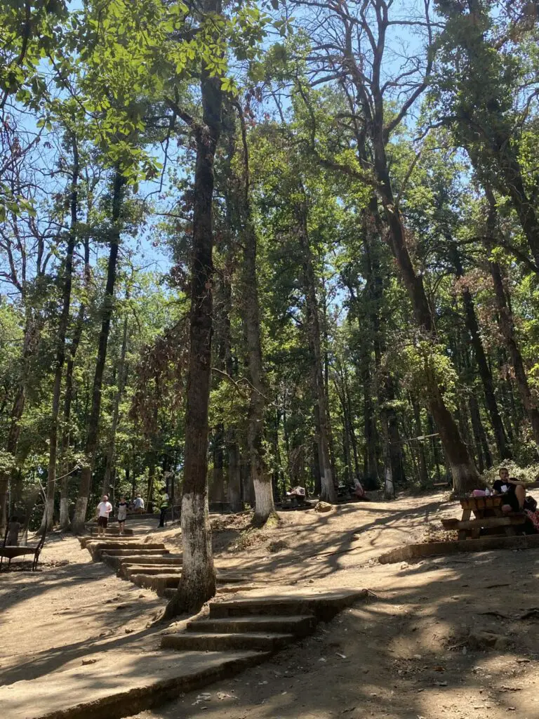 Forêt et environnement naturel en Algérie