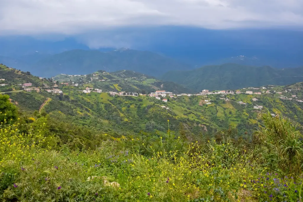 Vue sur les montagnes algériennes