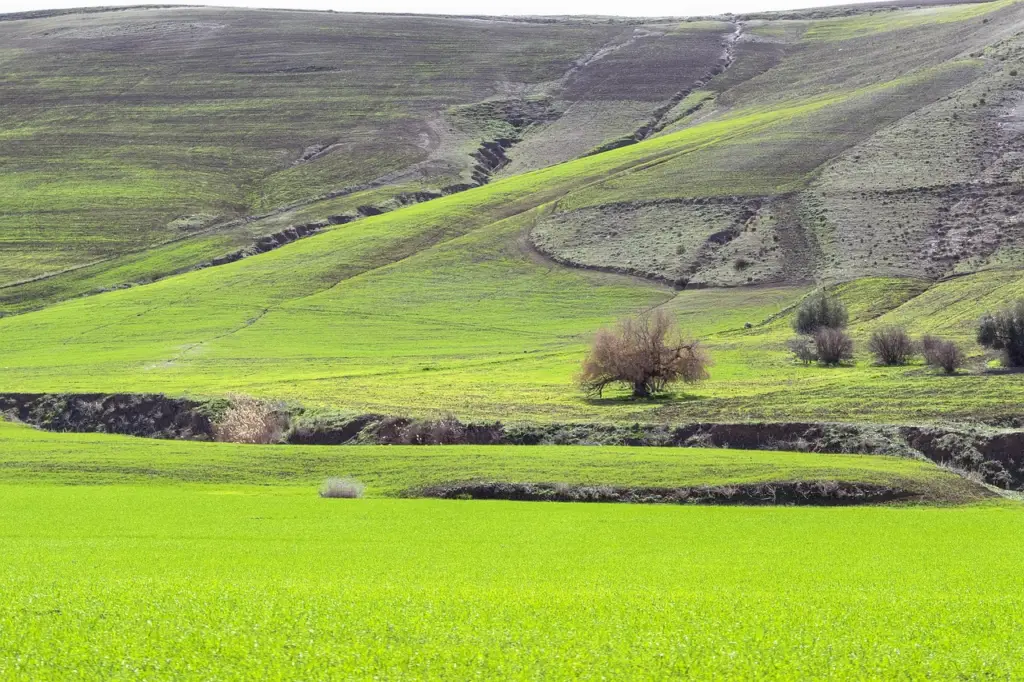 Les Aurès et l’Est algérien