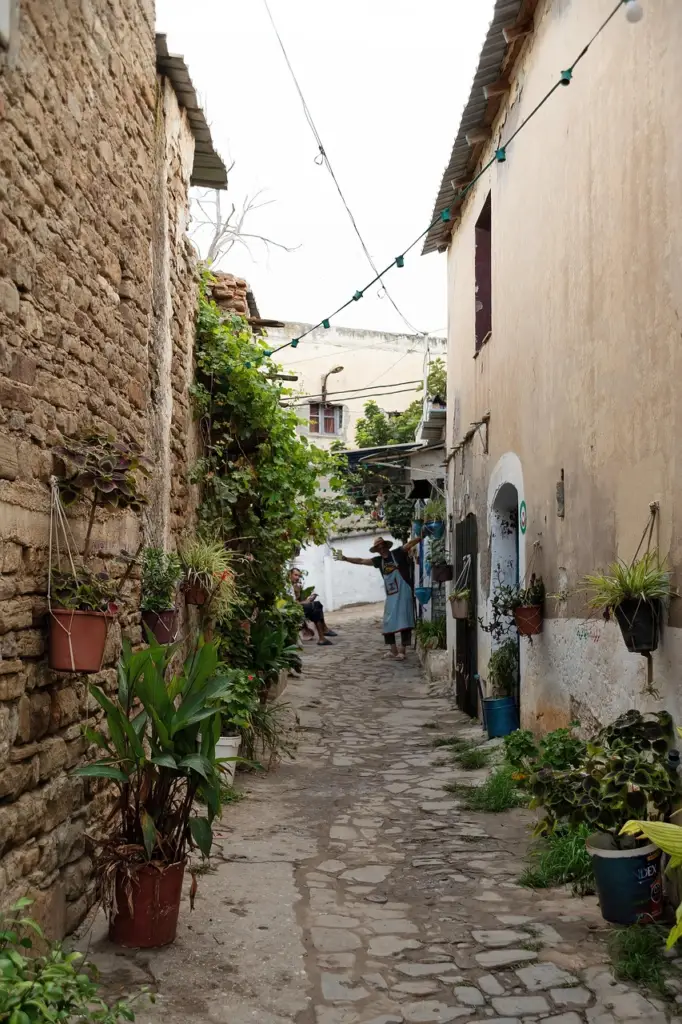 souvenirs de voyage en Algérie