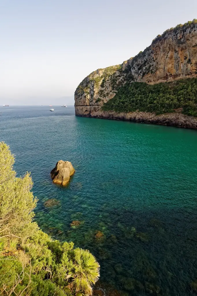 Beauté naturelle du littoral algérien plages et criques à découvrir