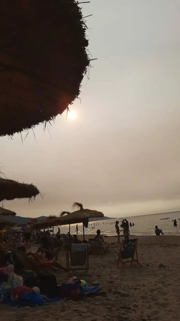 Détente sur les plages du littoral algérien