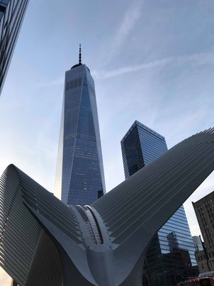 One World Trade Center + oculus 