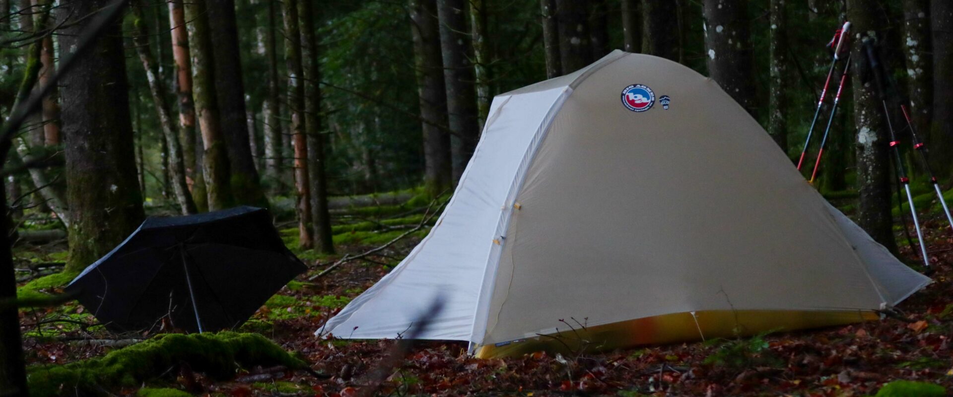 Tente big agnes dans la forêt limousine.