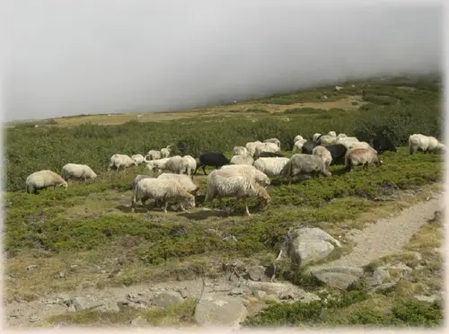 à la découverte du GR20