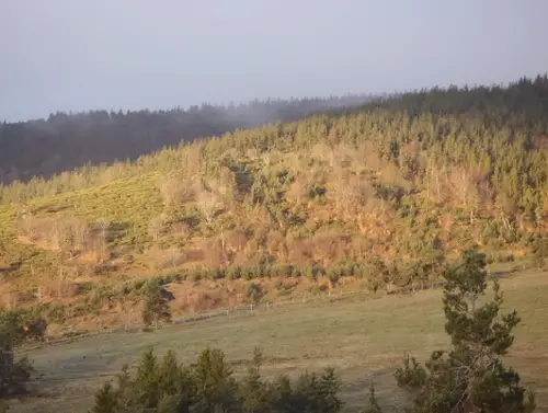 Brume matinale et bain de soleil peu après La-Bastide ; la Mourade lors d'une course sur le chemin de Stevenson à pied ( trail ou running ) chemin de Stevenson à pied ( trail ou running )