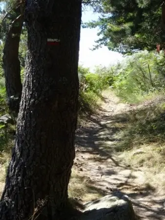 A moi les petits sentiers ! durant la sortie cyclisme dans les Cévennes