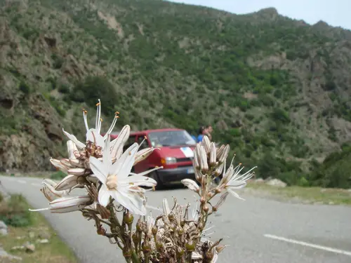 alpinisme en Corse