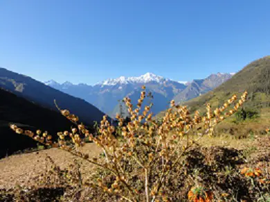 Vue depuis Cachora, le massif du Nevado Padreyoc que le trek nous fera contourner par la gauche.