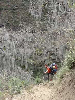 Sentier sur le trek de choquequirao  au Pérou